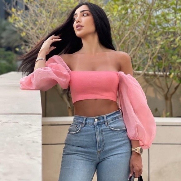 Zara Puff Sleeve Crop Top Pink Sheer Organza SOLD - Picture 3 of 16